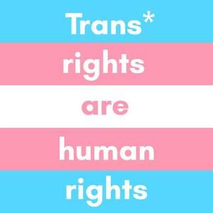 Meet your Posher, Arielle